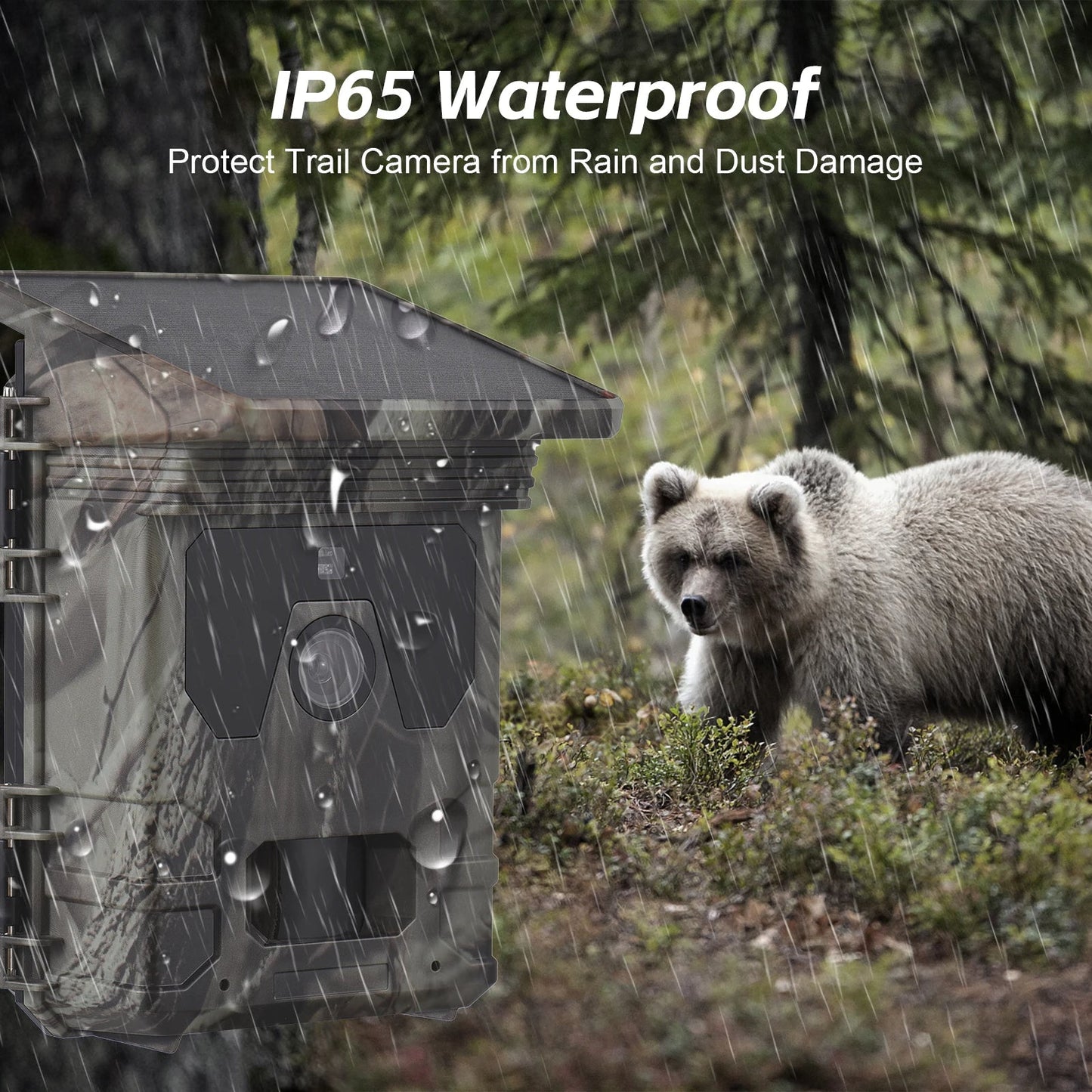 Wireless Outdoor Motion Trail Camera