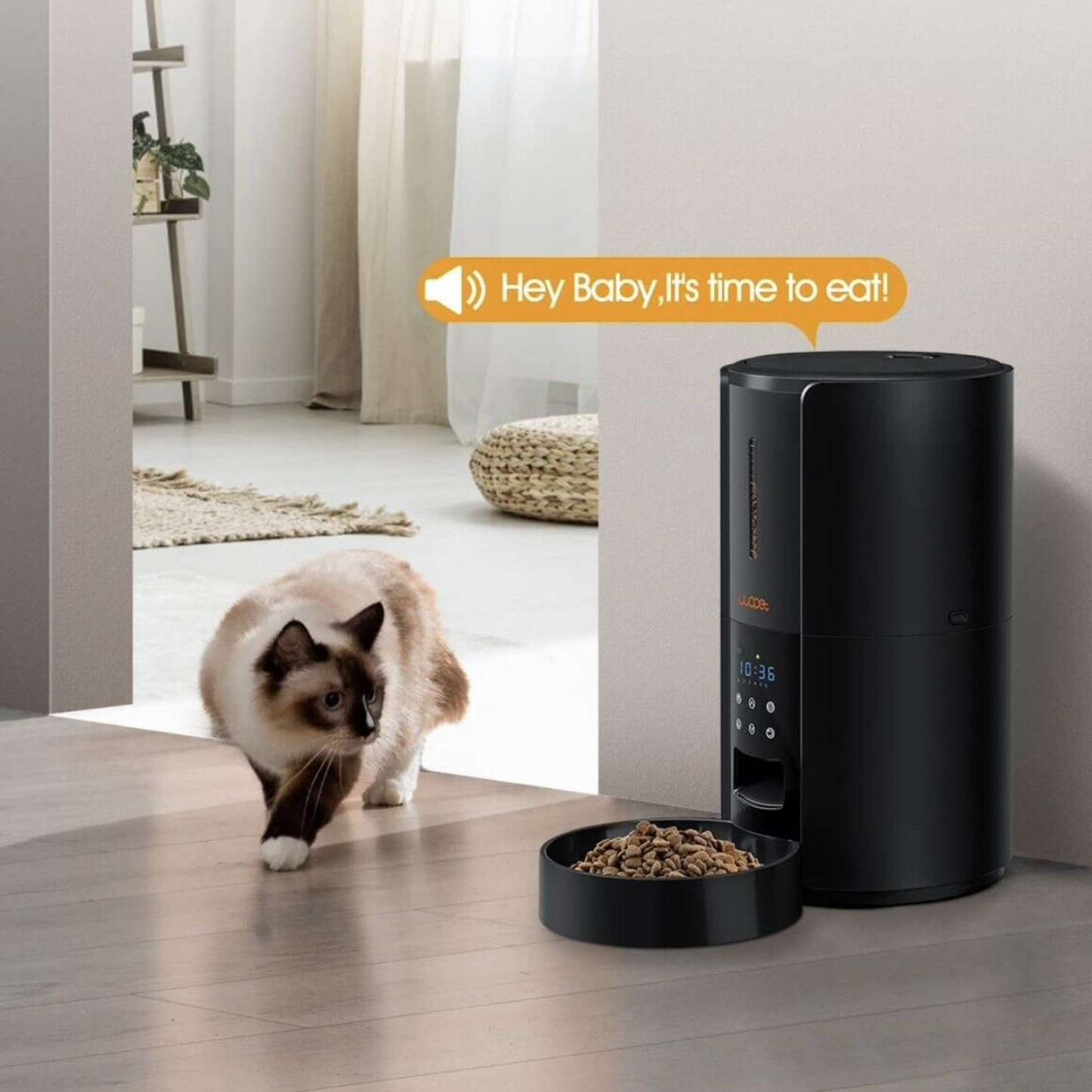 Automatic Pet Feeder for Cats and Dogs