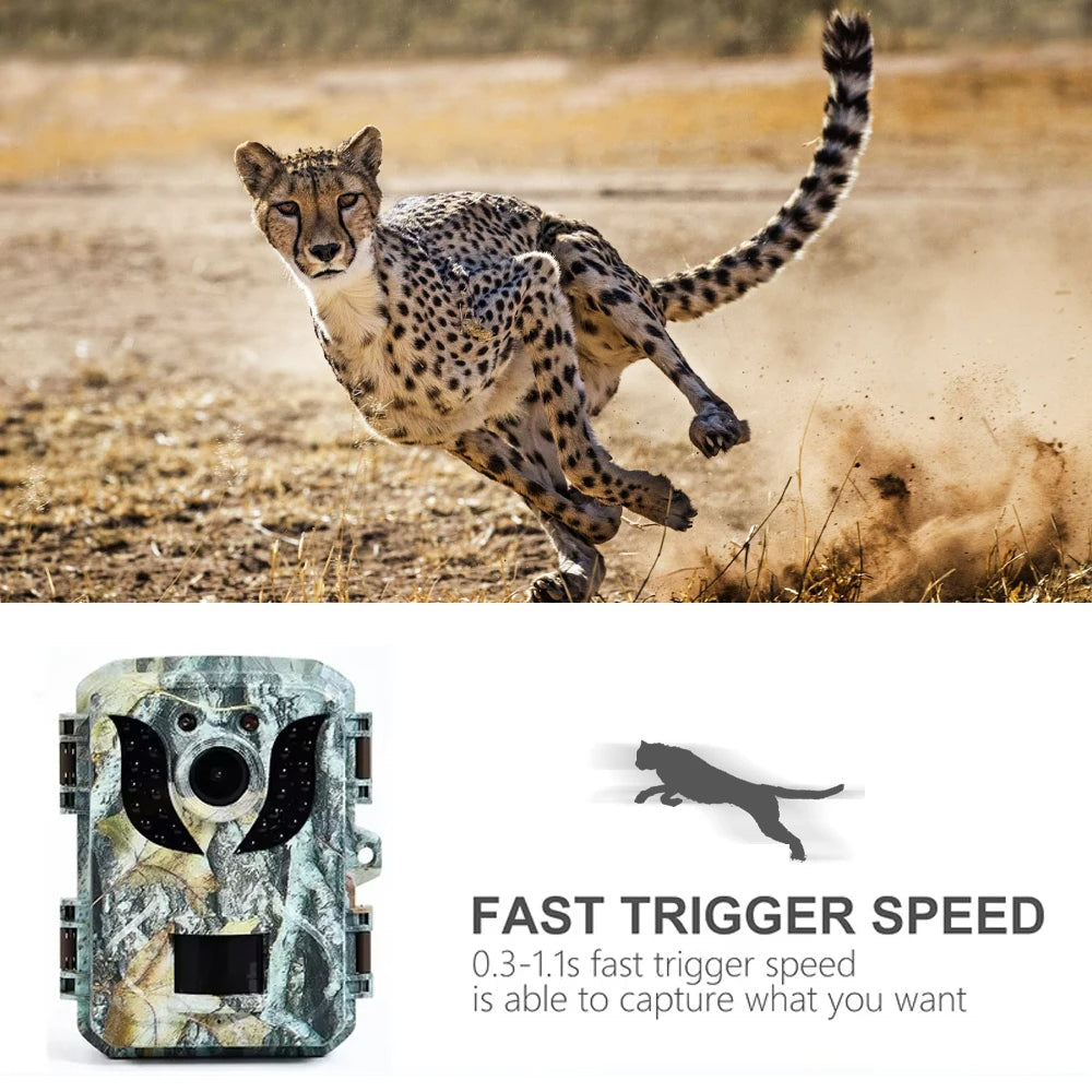 Small Animal Trail Camera with Full HD Night Vision