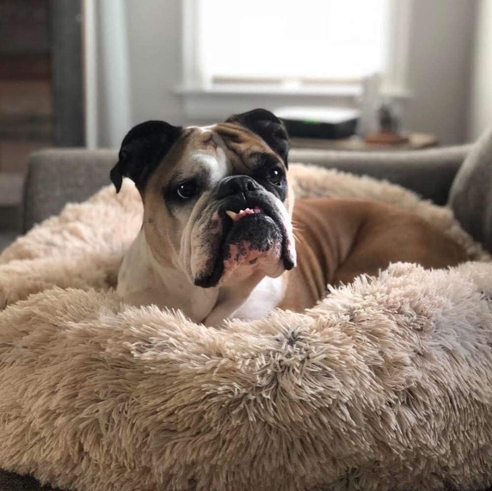 Comfortable Supportive Dog Donut Bed