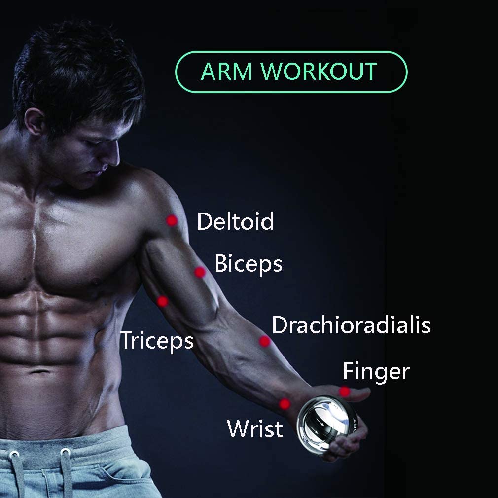 Compact Hand Wrist Exercise Ball Trainer