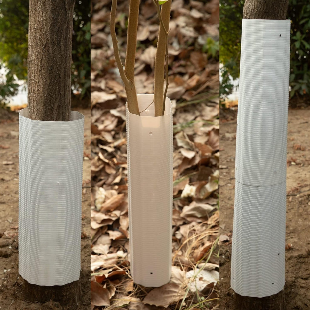 Tree Squirrel Guard Protector - 6 Pack