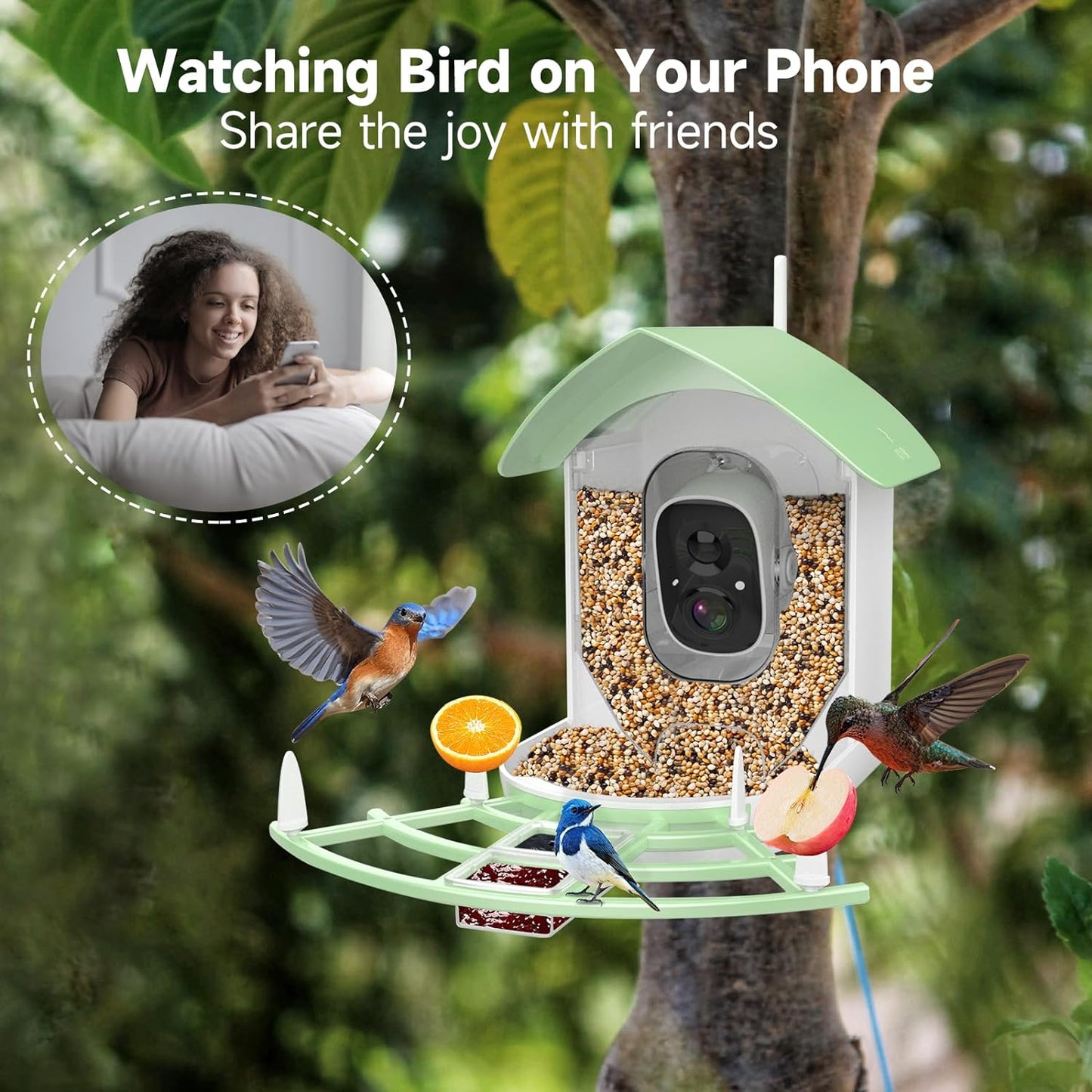 Wireless Bird Watching Security Camera