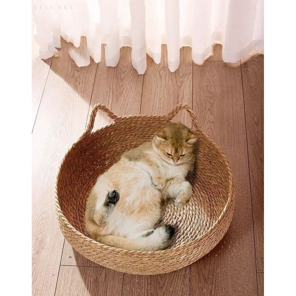 Cozy Woven Pet Bed with Soft Washable Pillow
