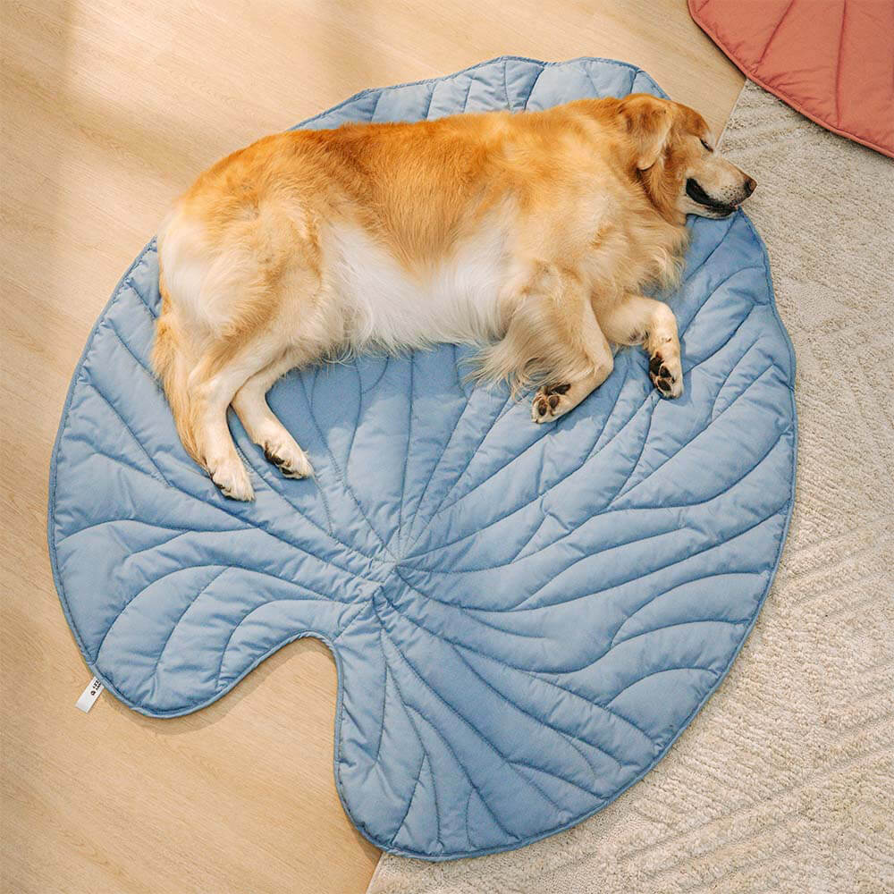Green Pet Friendly Plush Blanket