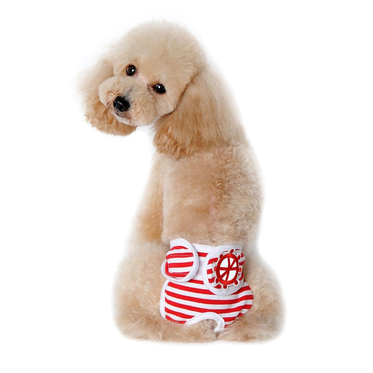 Reusable Waterproof Pet Diaper