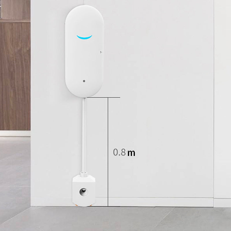 Wireless Flood Alert Water Leak Detector System