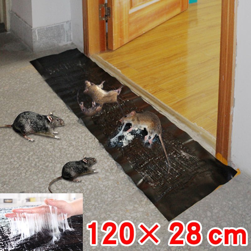 Safe Humane Mouse Trap for Home Pest Control