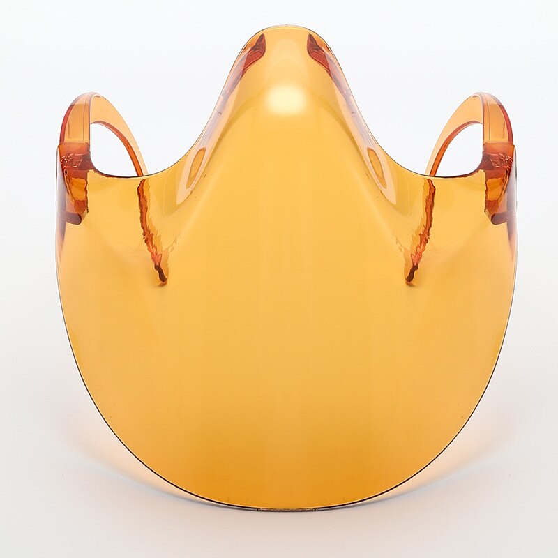 Transparent Full Face Guard Protector