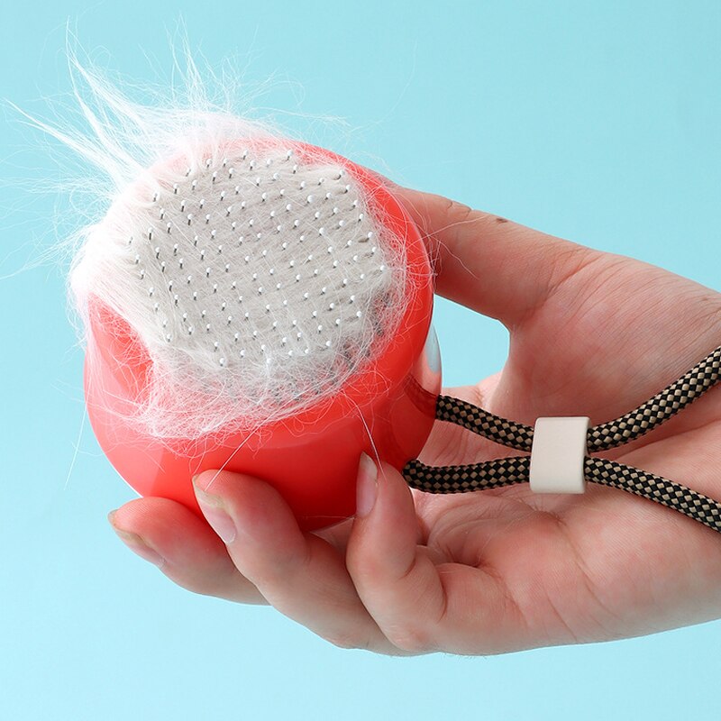 Easy Pet Hair Remover Mini Brush