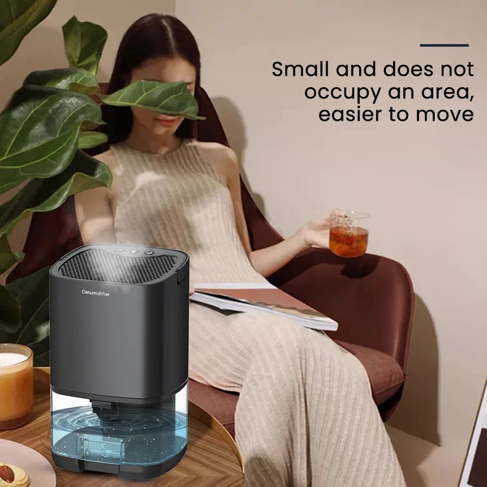 Compact 2-in-1 Dehumidifier with Air Purifier & LED Light