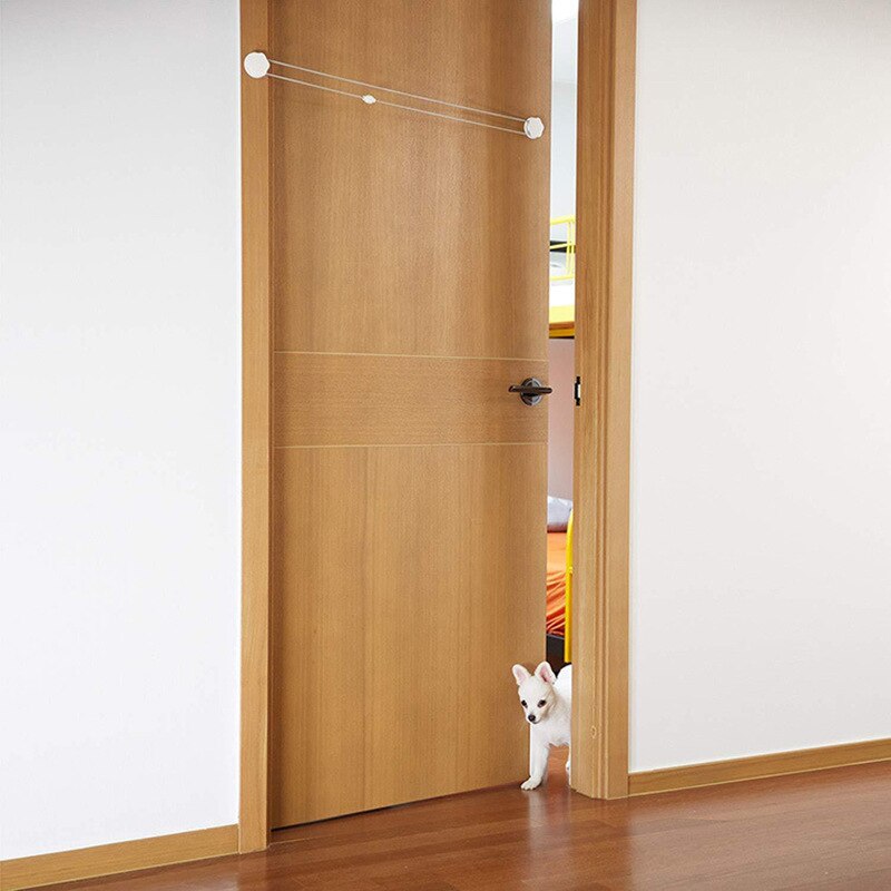 Easy Auto Pet Door Access System - Pexav