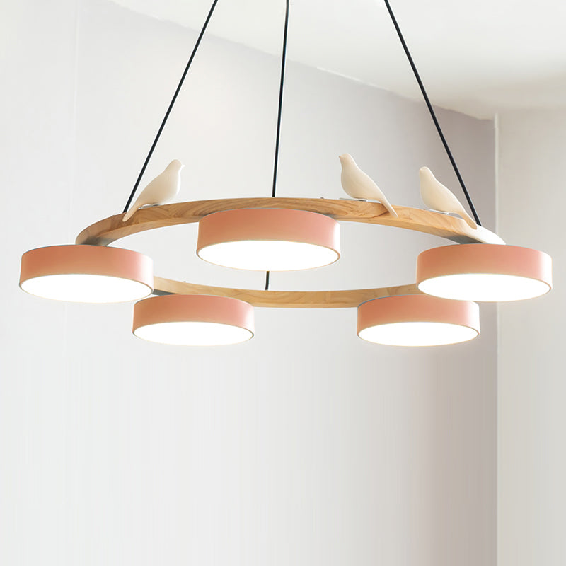 Beautiful Round Pendant LED Ceiling Light Fixture