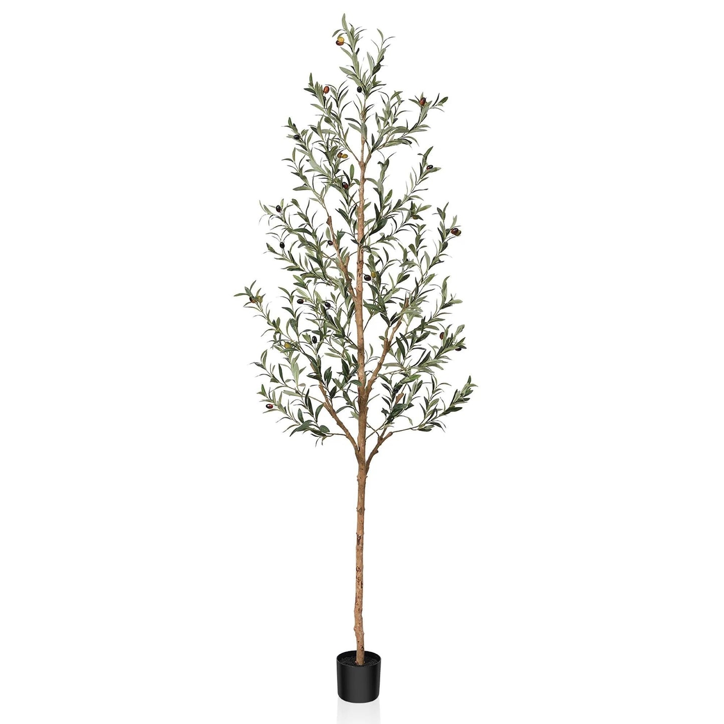 Artificial Green Olive Plant