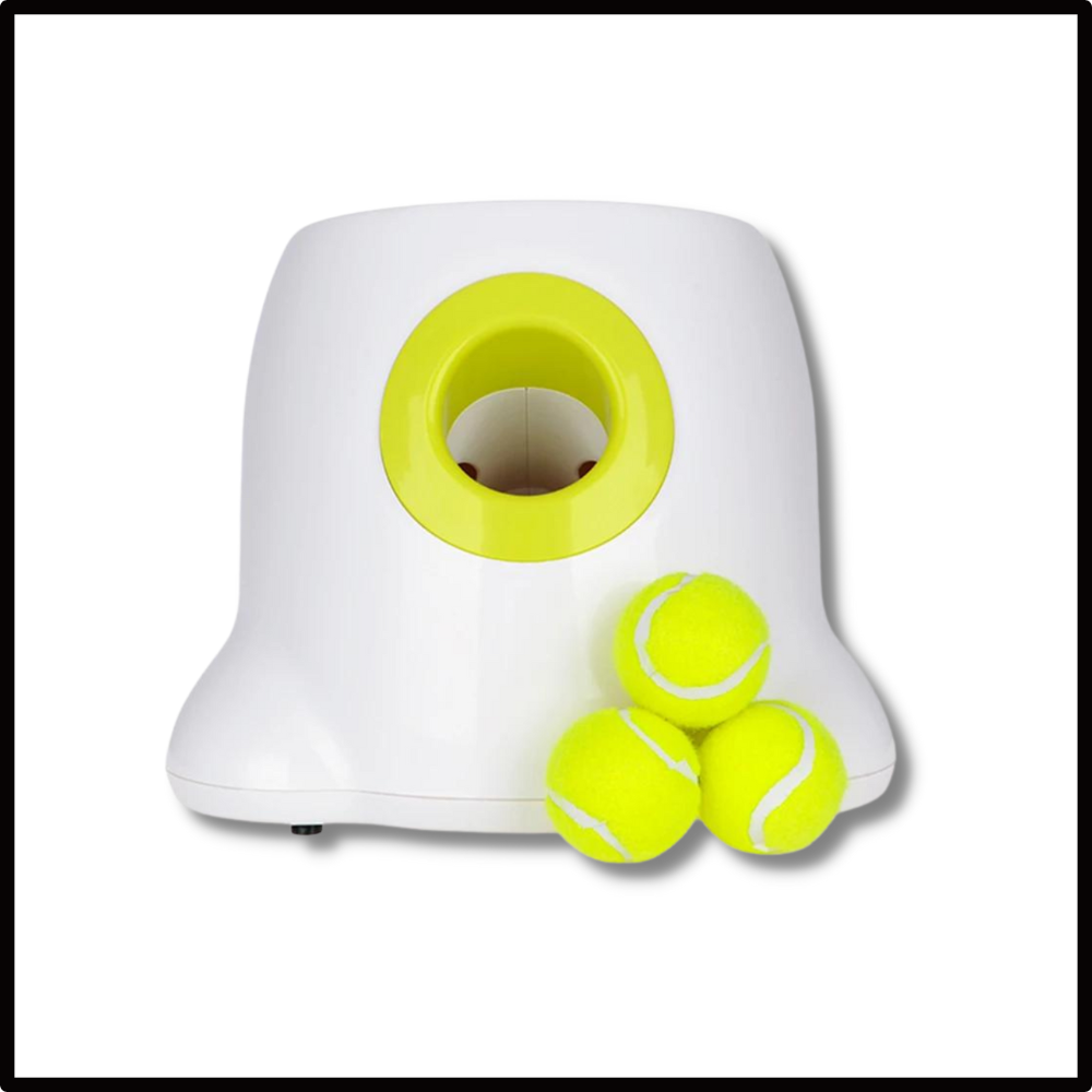Automatic Pet Ball Launcher Toy
