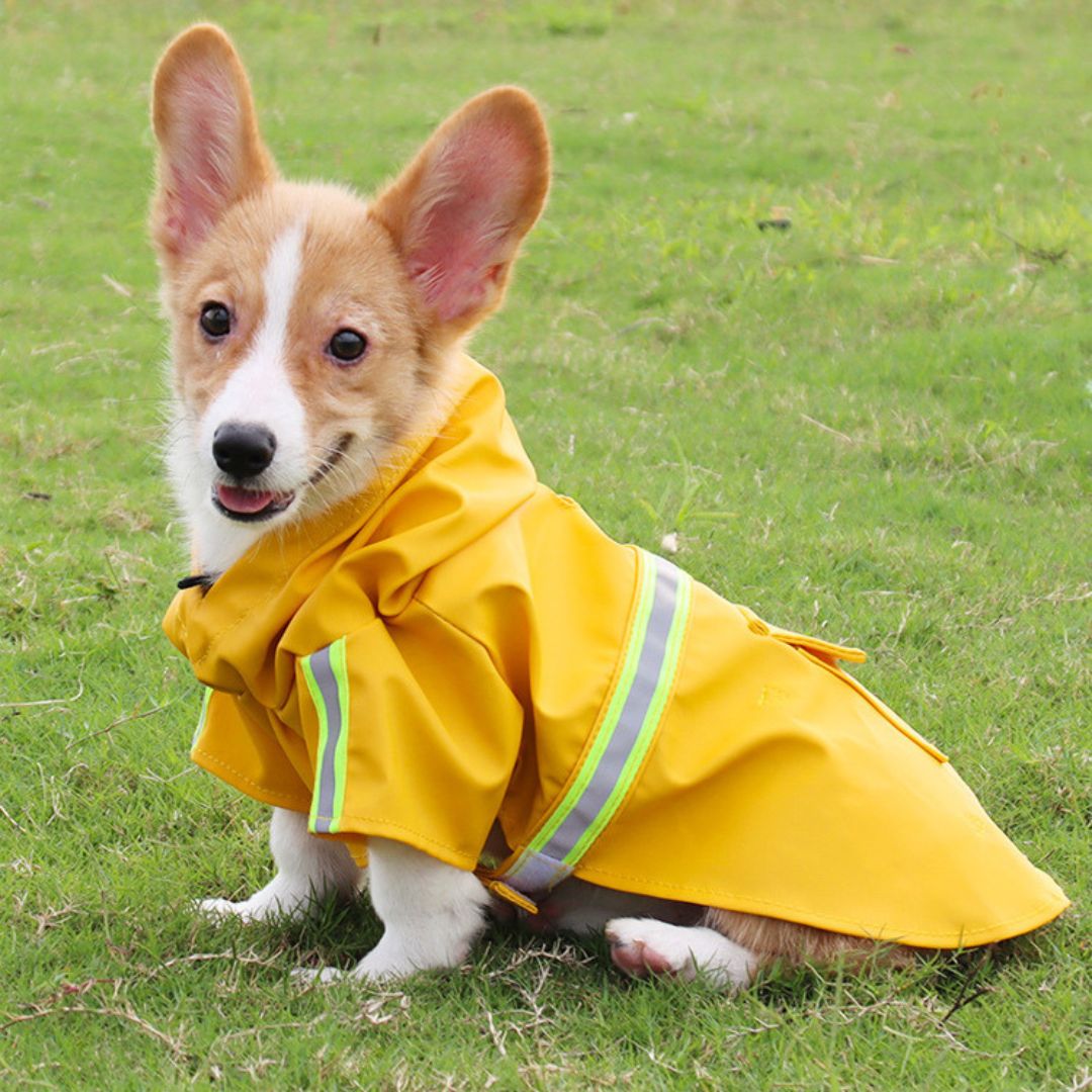 Dog Raincoat - RainGuard Pro-Blue-S-Nora Luxe