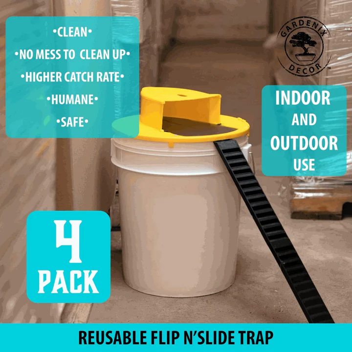 Set of 4 Reusable Humane Mouse Traps for Rodent Control