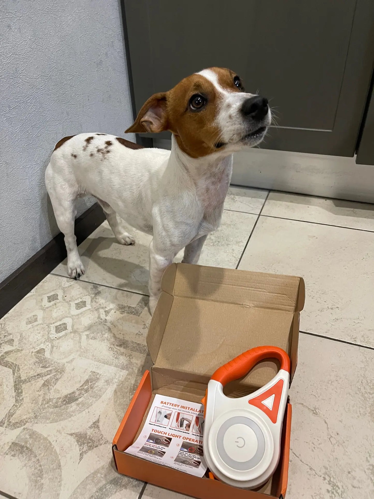 GlowGuard Illuminating Dog Leash with Flashlight-Orange-Nora Luxe