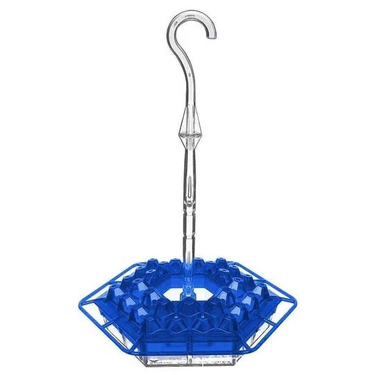 Colorful Outdoor Hanging Bird Feeder with Ant Trap