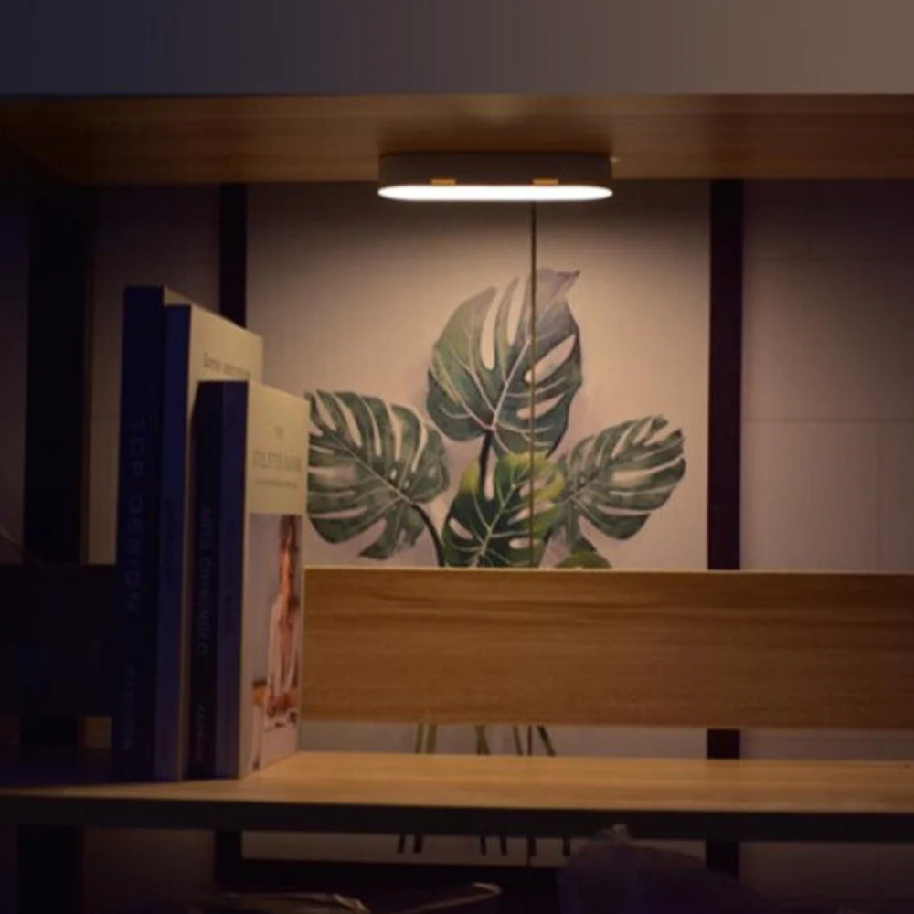Wooden shelf with books and a plant painting in a dimly lit room