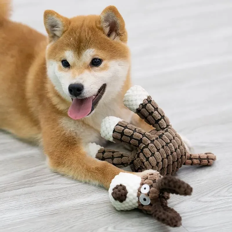 Durable Pet Chew Toy