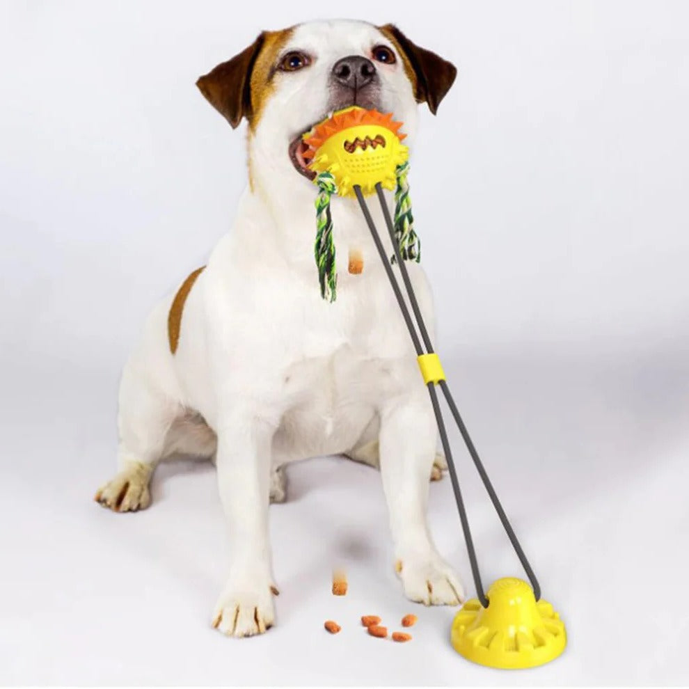 Fun Automatic Pet Play Toy