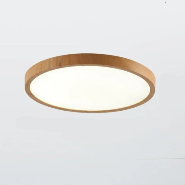 Stylish Round LED Ceiling Lamp Adjustable Brightness