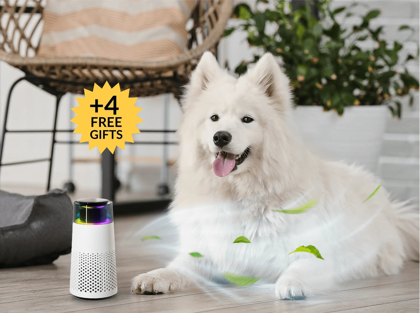 PetFresh Animal Scent Humidifier-Black-Nora Luxe