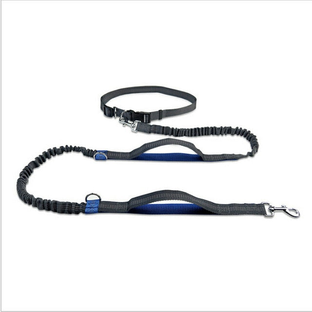 Adjustable Comfort Dog Walking Leash