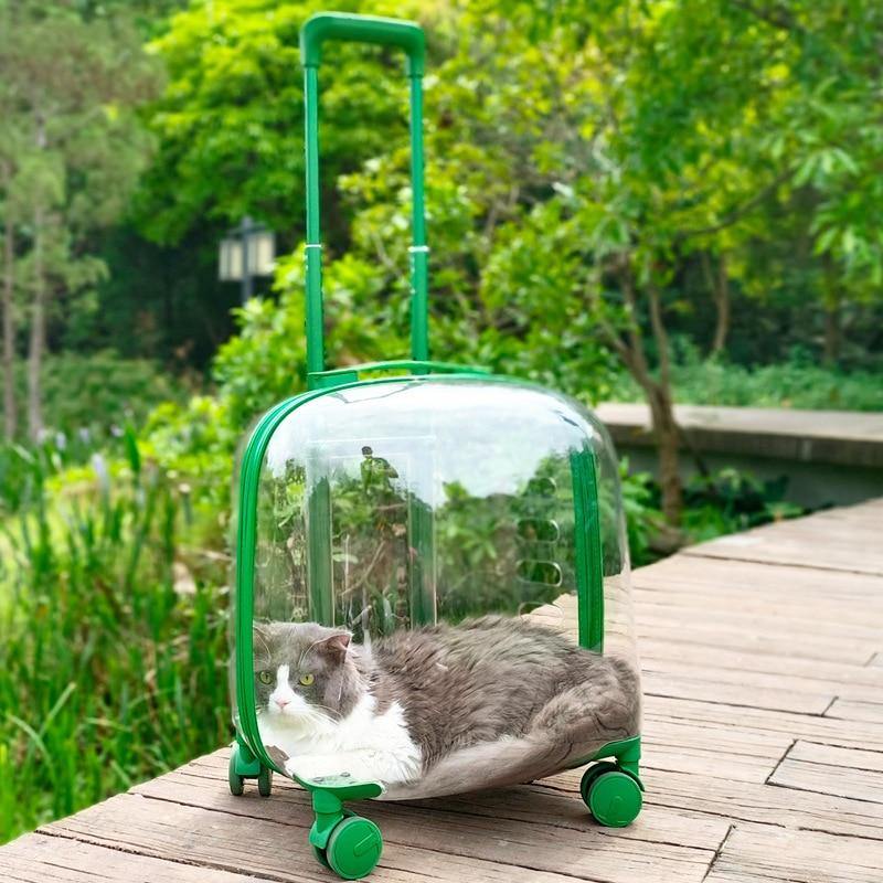 Clear Animal Carrier Cart - Pexav