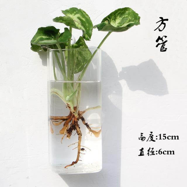 Unique Glass Geometric Wall Terrarium Container