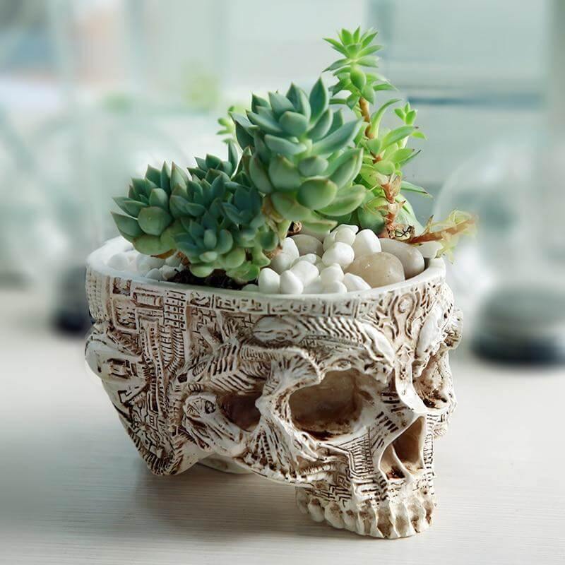 Unique Floral Ceramic Skull Planter Decor - Pexav