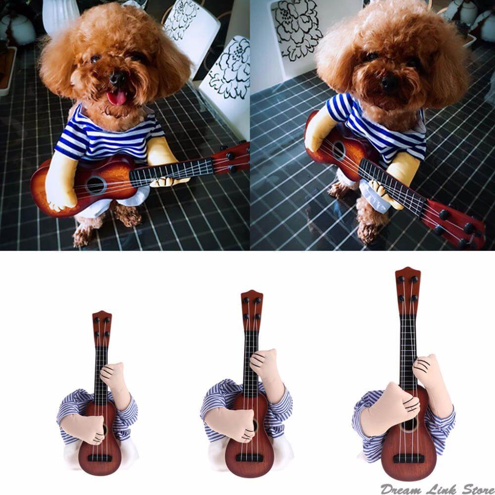 Comical Pet Rockstar Costume - Pexav