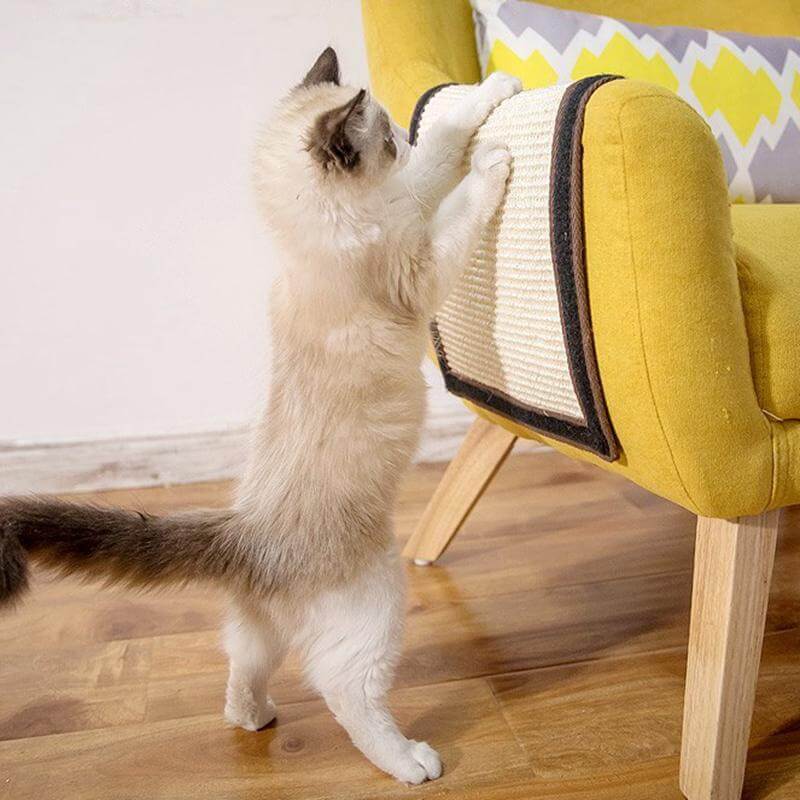 Comfy Cat Scratching Post Bed - Pexav