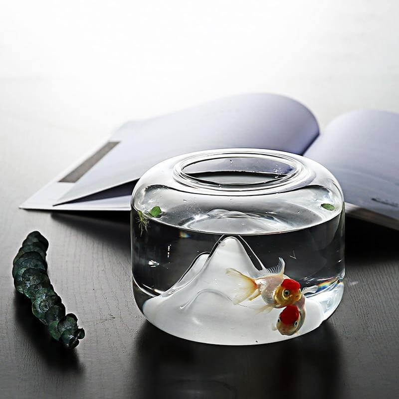 Clear Glass Winter Aquariums for Fish - Pexav