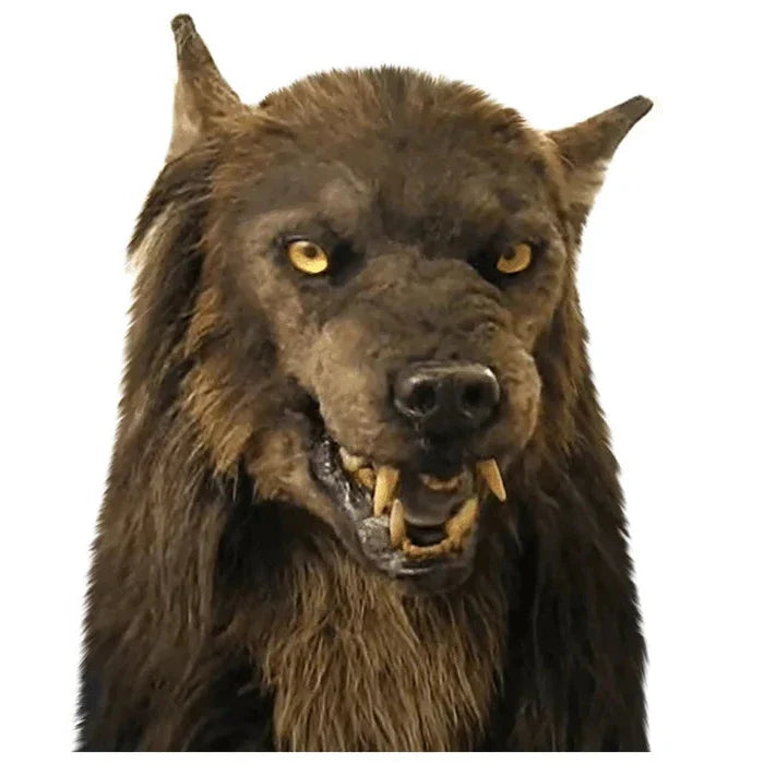 Spooky Wolf Halloween Mask Costume Accessory