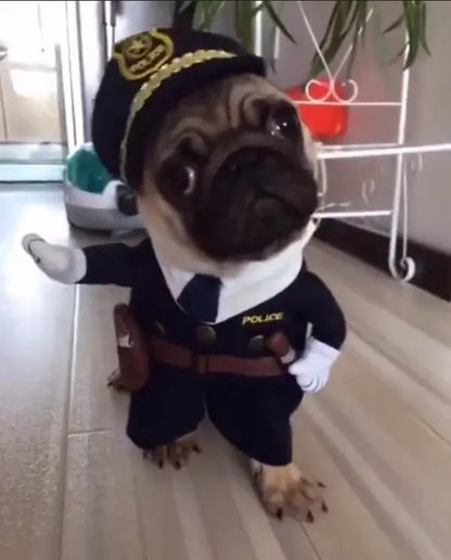 Cute Funny Pet Halloween Costume