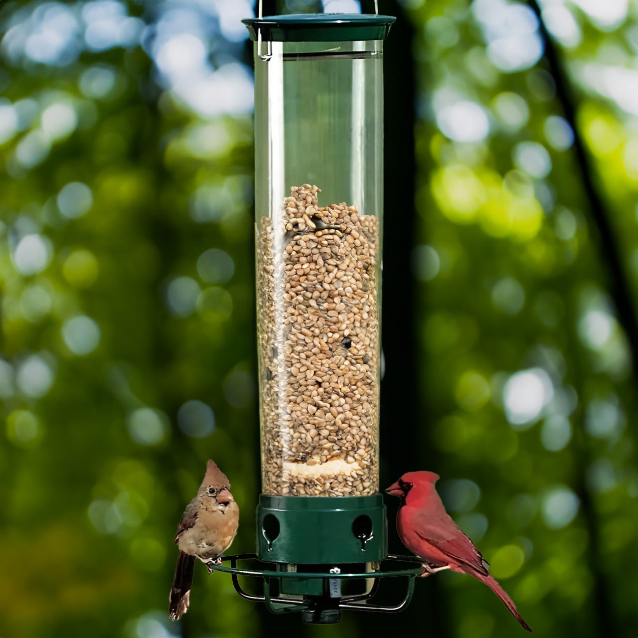 Squirrel Proof Bird Feeder with Rotating Tray - Pexav