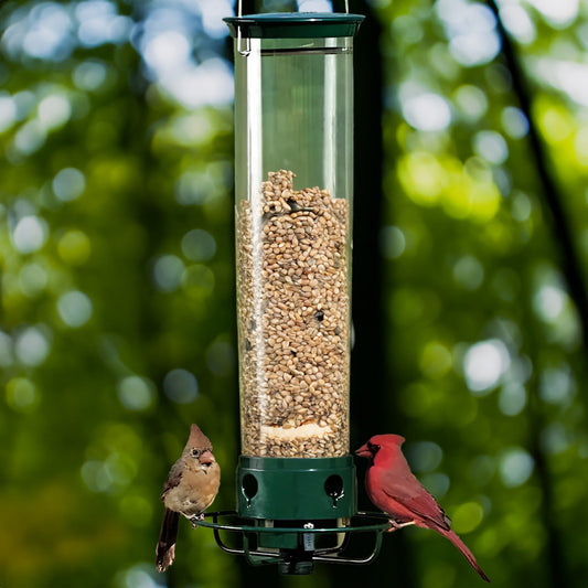Squirrel Proof Bird Feeder with Rotating Tray - Pexav