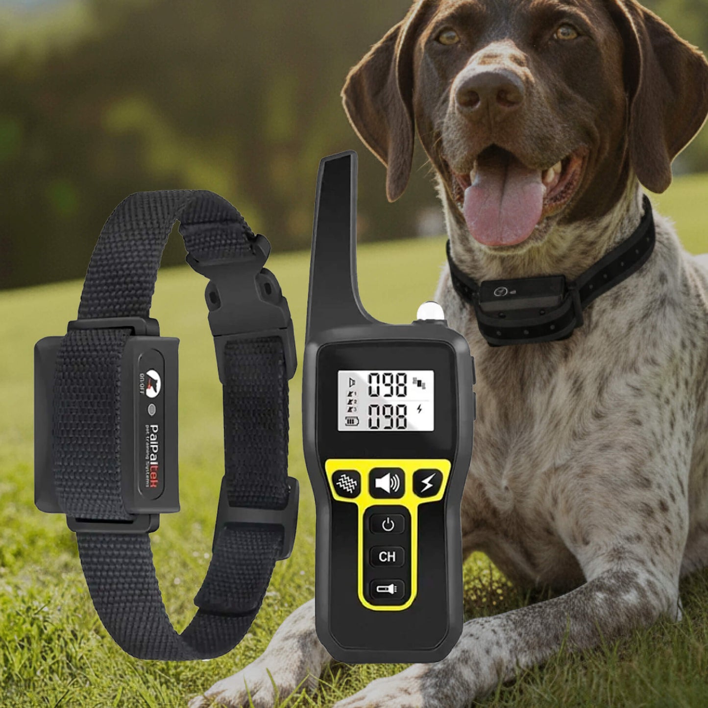 Adjustable Remote Dog Training Collar with Sound & Vibe
