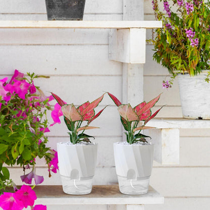 Automatic Watering Garden Pot