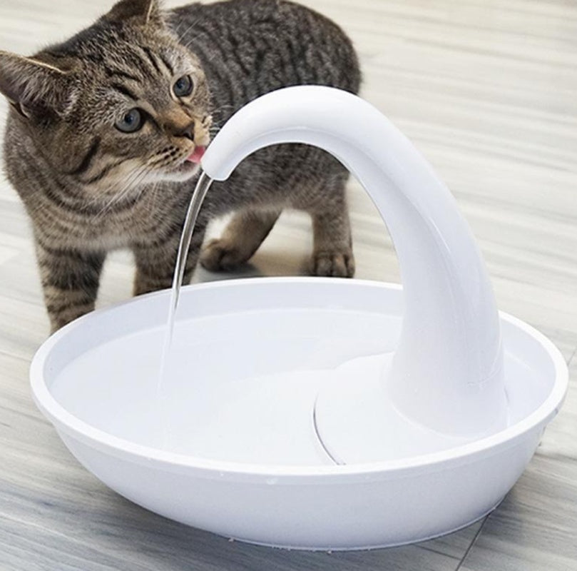 Quiet Pet Drinking Fountain with Filter, 1.8L Large Capacity - Pexav