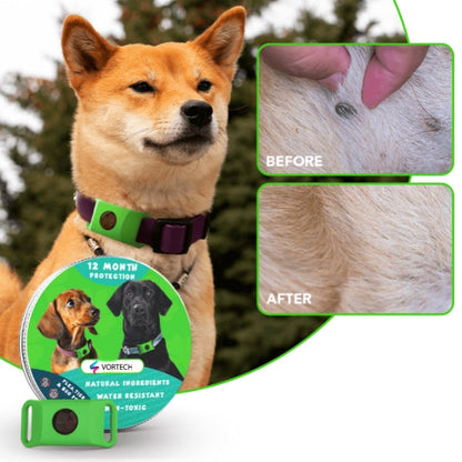 Long Lasting Pet Flea and Tick Control Medicine - Pexav