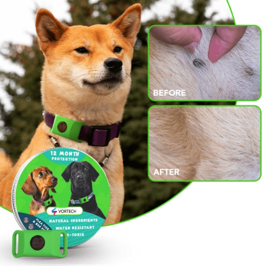 Long Lasting Pet Flea and Tick Control Medicine - Pexav
