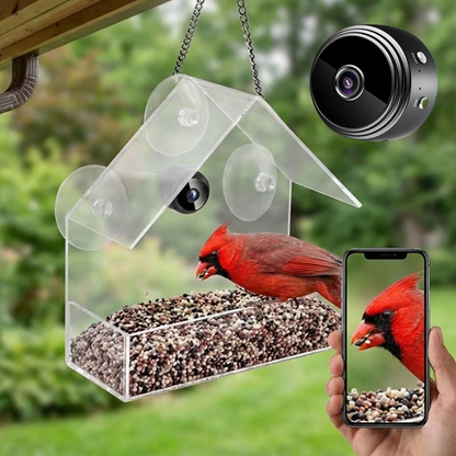 Wireless Outdoor Bird Feeder Camera 1080P HD
