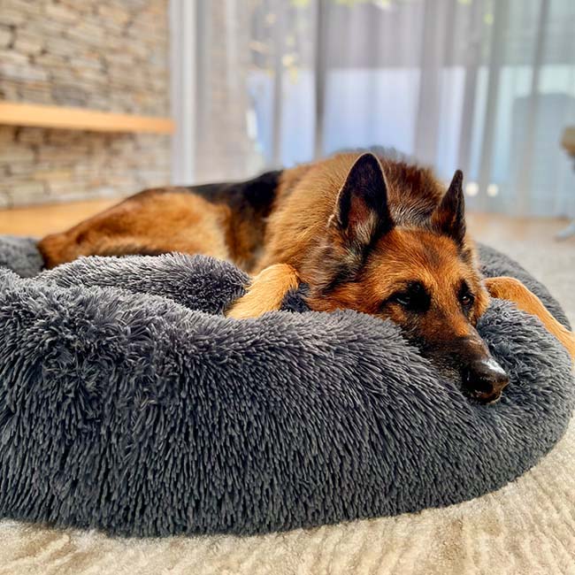 Comfortable Supportive Dog Donut Bed