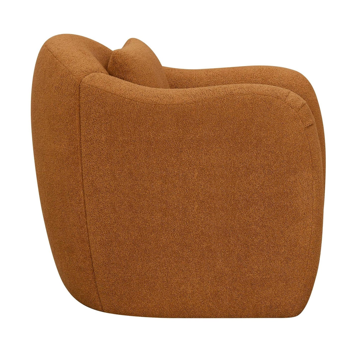 Stylish Living Room Chair
