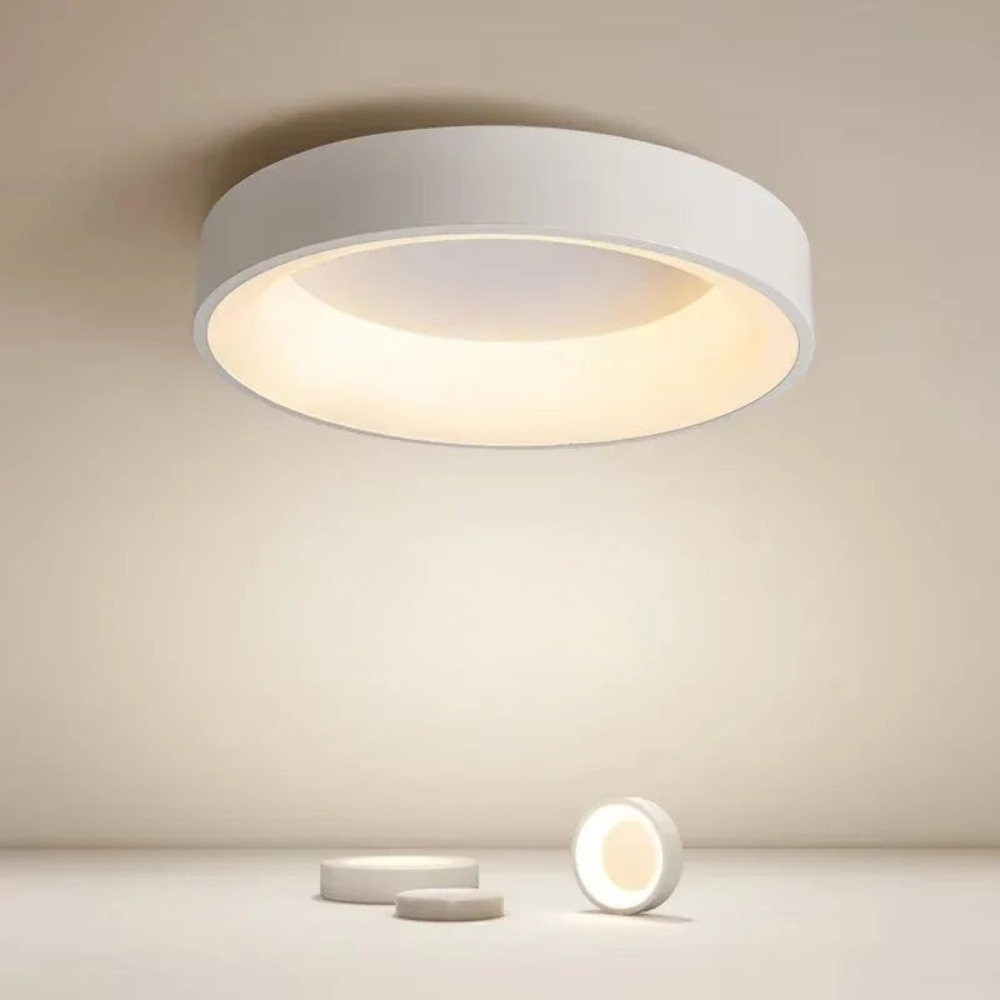 Sleek Flush Mount Ceiling Lamp for Indoor Lighting