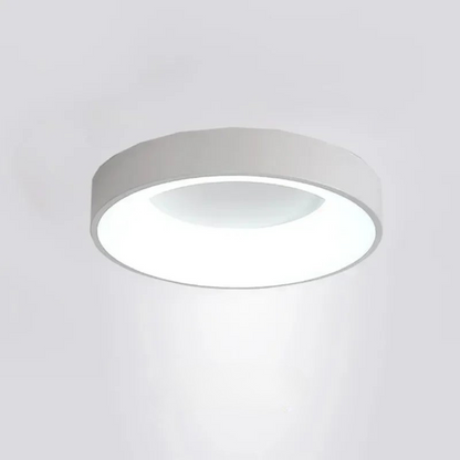 Sleek Flush Mount Ceiling Lamp for Indoor Lighting