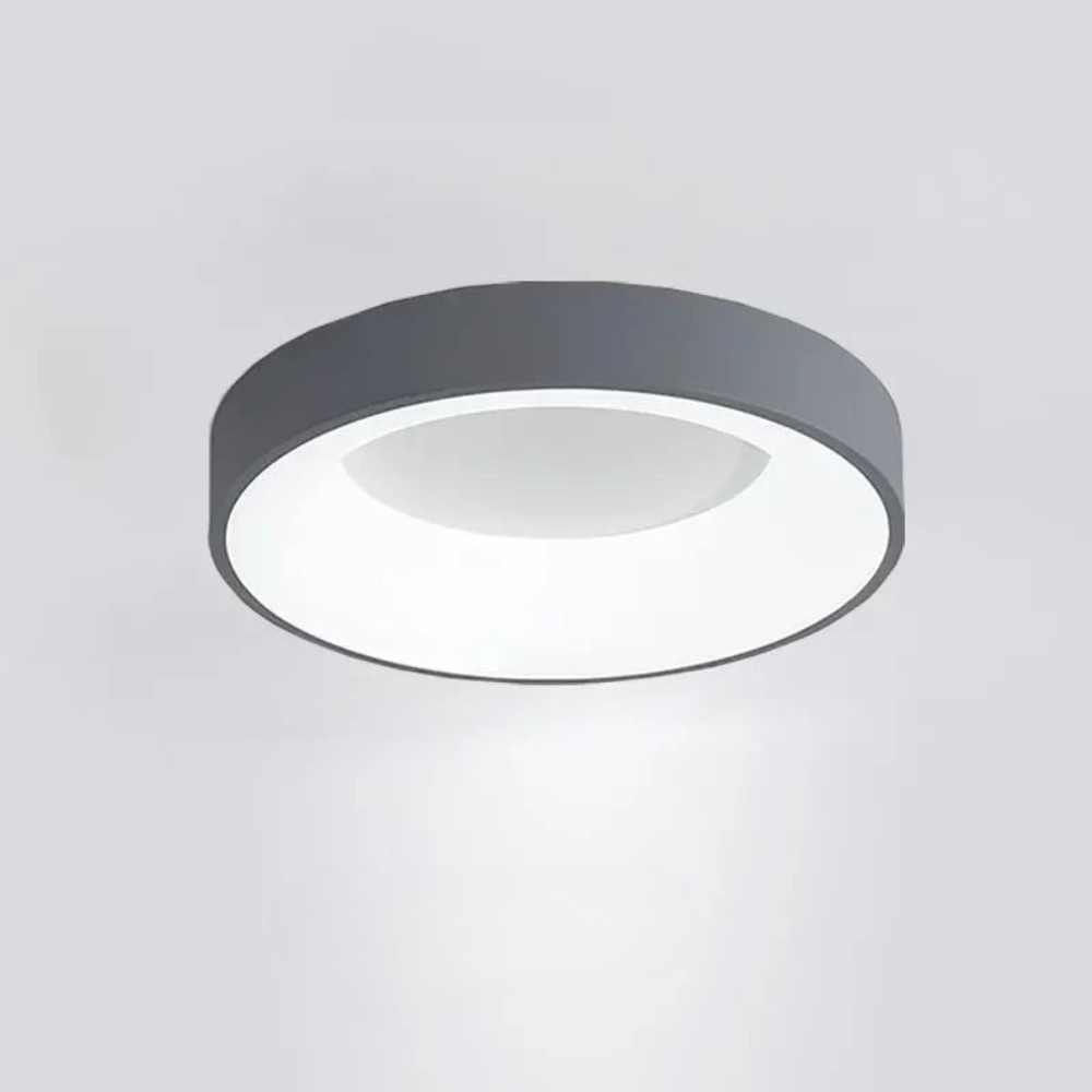 Sleek Flush Mount Ceiling Lamp for Indoor Lighting